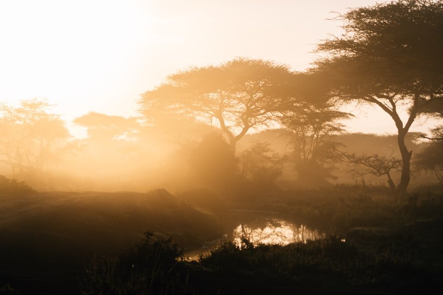 Serengeti-Nationalpark