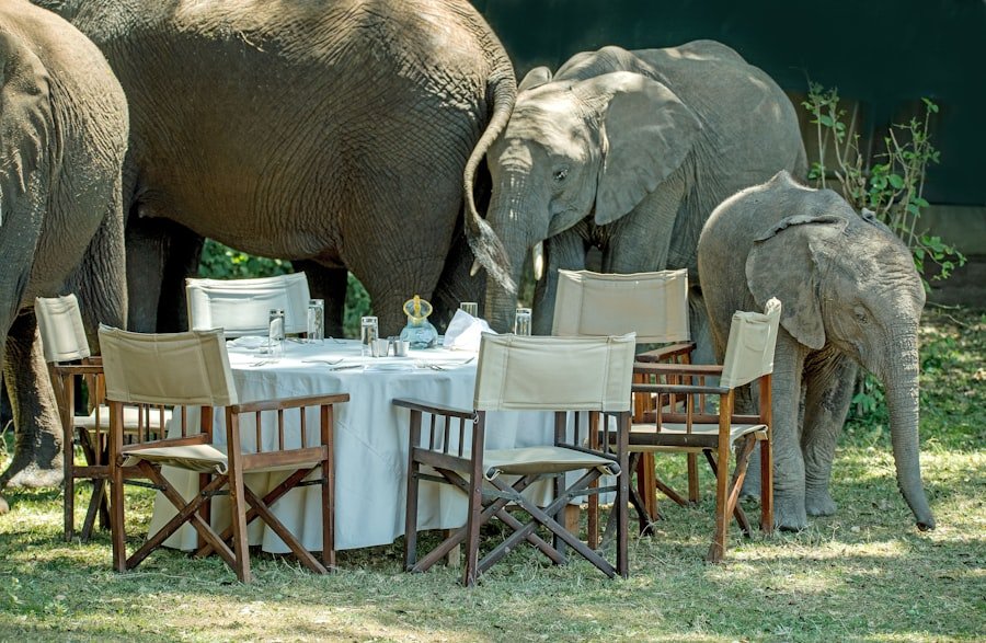 Tarangire-Nationalpark