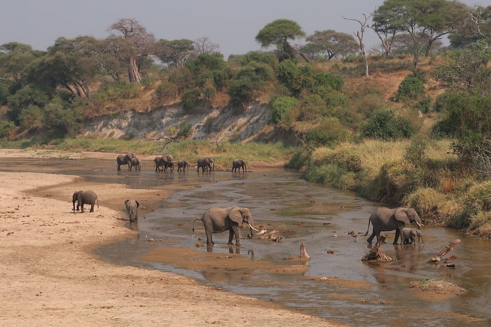 6 Tage Tarangire, Serengeti & Ngorongoro